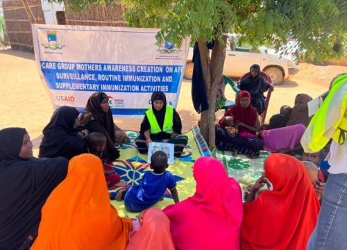From Unaware to Empowered: How Nomadic Mothers Are Driving Vaccine Uptake in Dollow.
